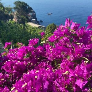 Meet your Posher, Mira